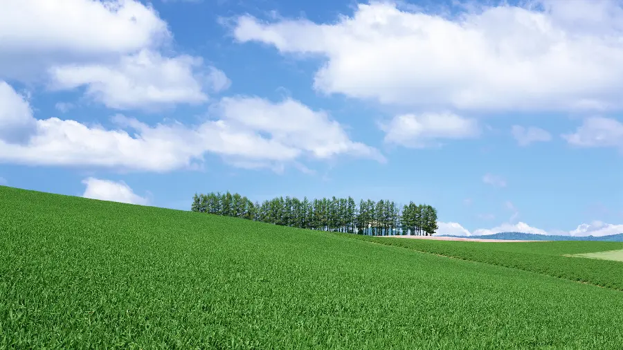 Full HD profile picture of real and relaxing nature with a meadow view