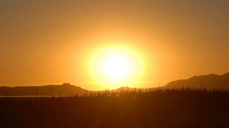 Attractive stock of a beautiful scenic spot of nature at sunset for Telegram profile