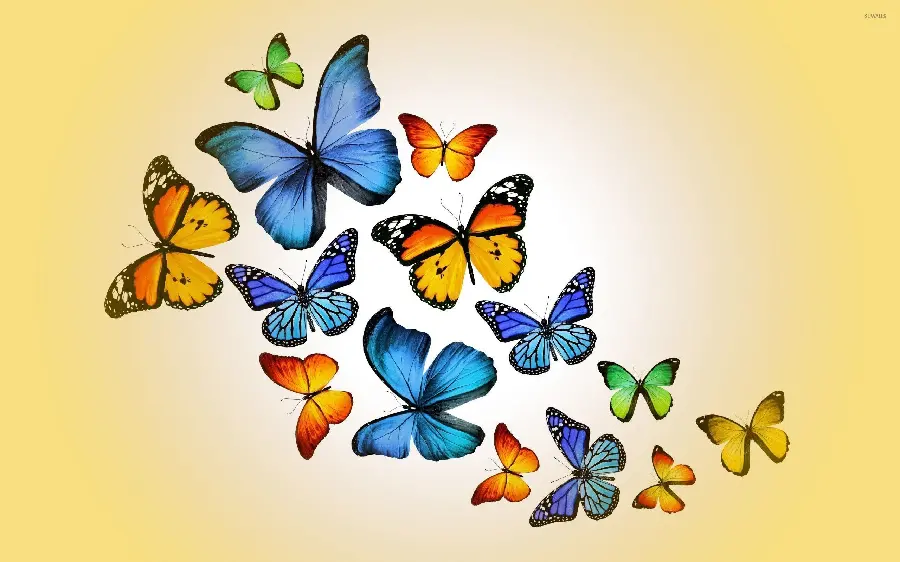 Selected computer wallpaper wallpaper 2023 with attractive design of colorful butterflies 