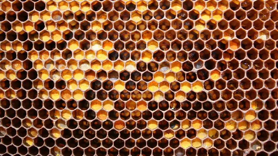 Attractive and cool photo with a honeycomb design for use in advertising 