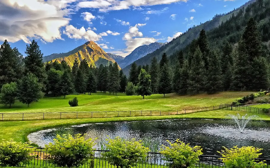 Picture of a forested and lush place with a pleasant climate for a recreational camp