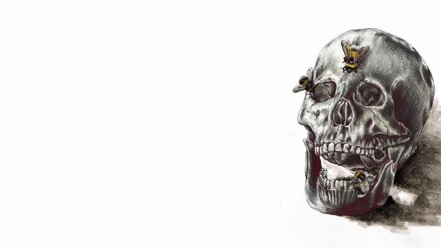 Wallpaper with a strange and scary skeleton design on a white background 