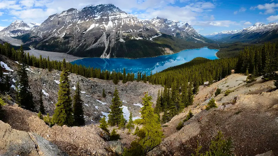 Nature and Lake Peyto in the Rocky Mountains in Canada