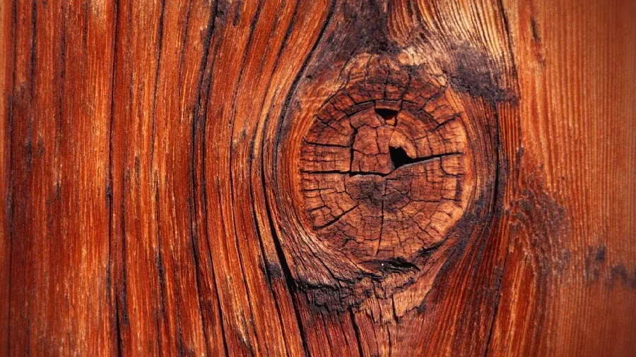 Download a collection of high-quality carpentry related images