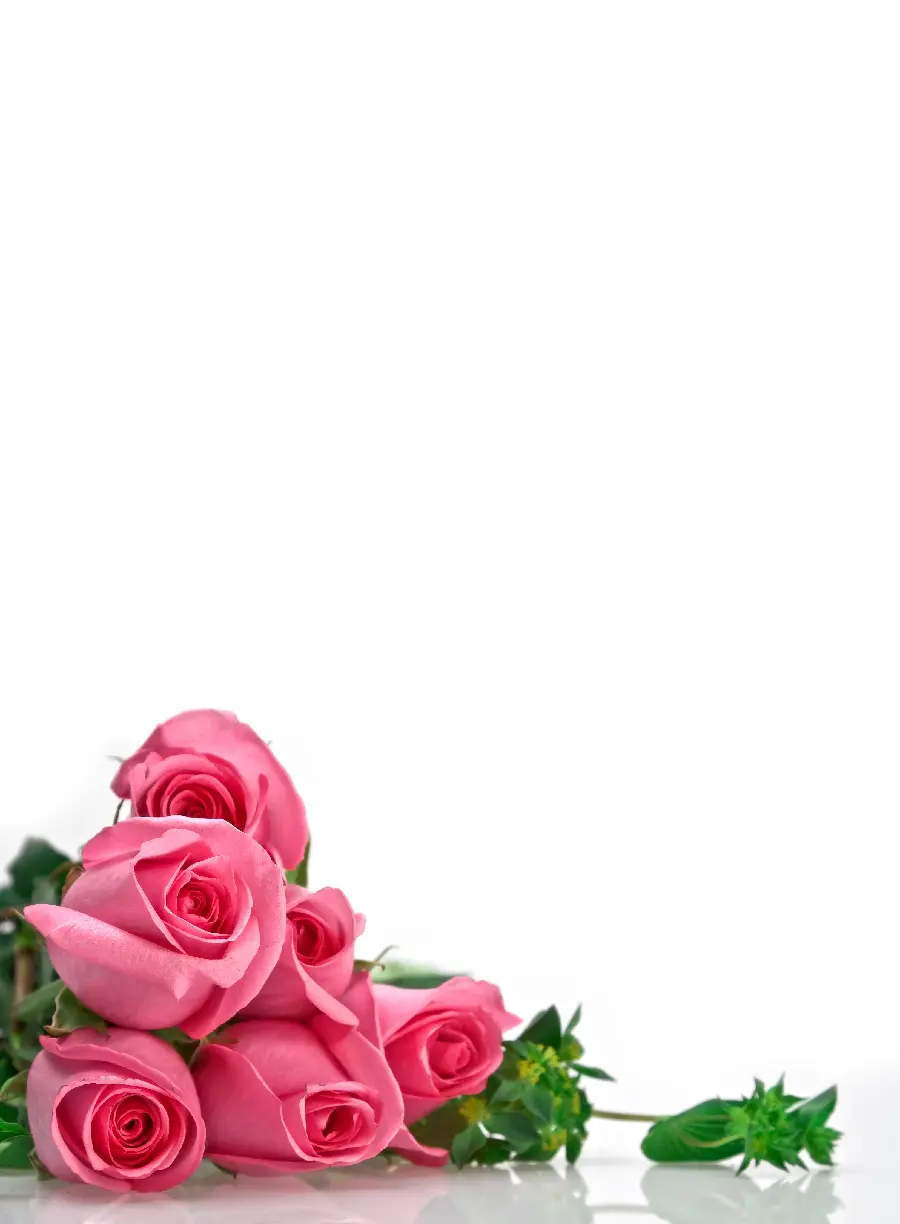 Photo with a flower design in the corner of a simple white image suitable for Valentine's Day 