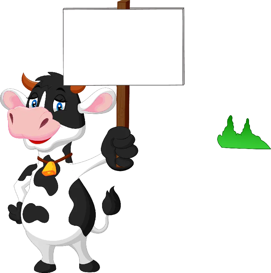 Black and white chubby male cow in PNG format and cropped without background
