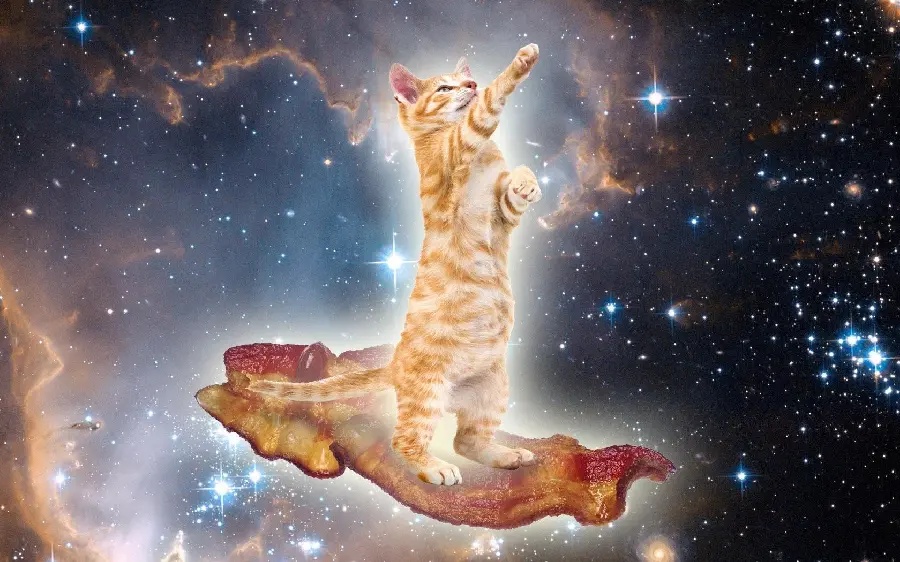 Animal wallpaper for fans of the beautiful surrealist style