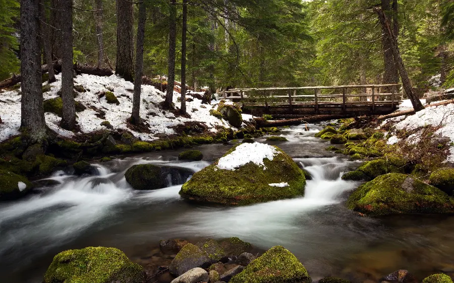 Image of melting snow in nature suitable for background and profile 
