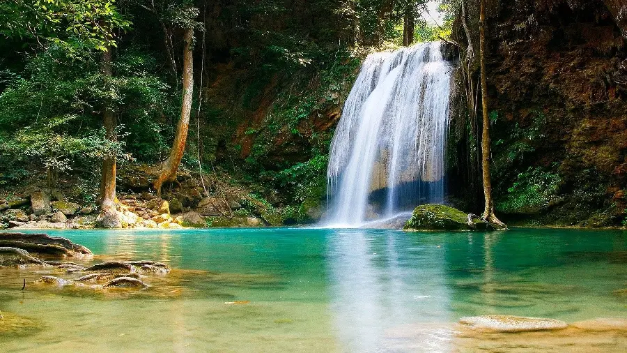 The best background of the nature design of a high mountain lake in the lush summer season 