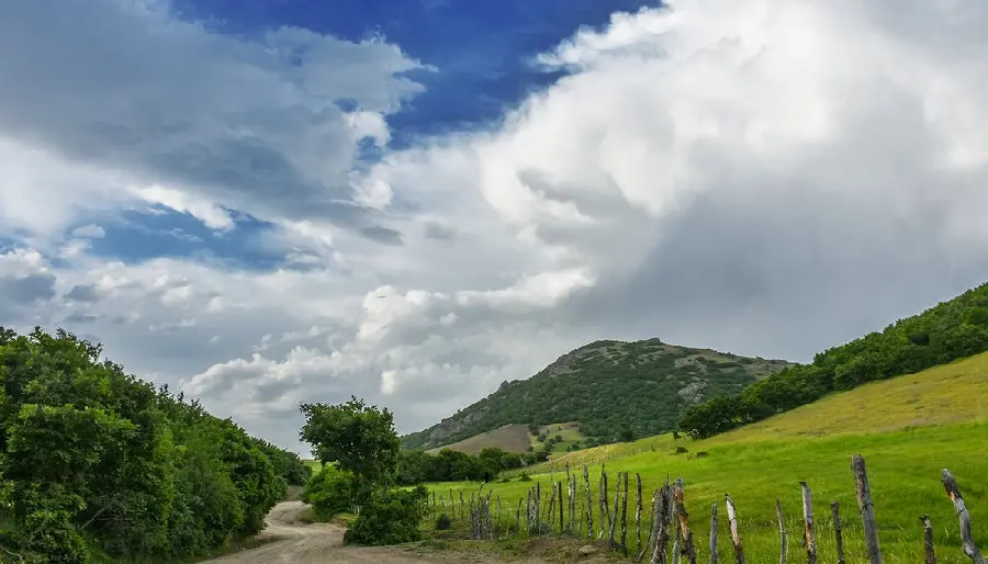 Background photo of lush and pleasant nature