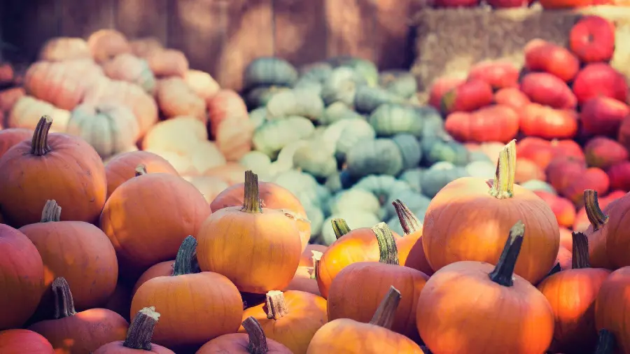 Photo of the newly established fruit and vegetable shop in Pakdasht 