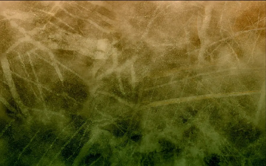 Photo of texture and texture in green and beige with Special design 