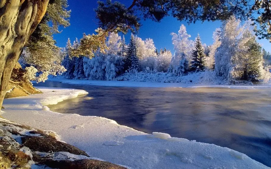 Winter, snowy and icy nature for Telegram profiles