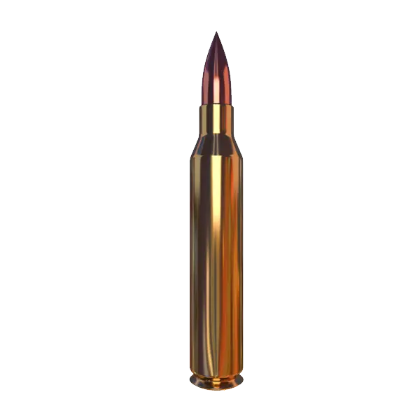 Photo of a bullet and a bullet in PNG format