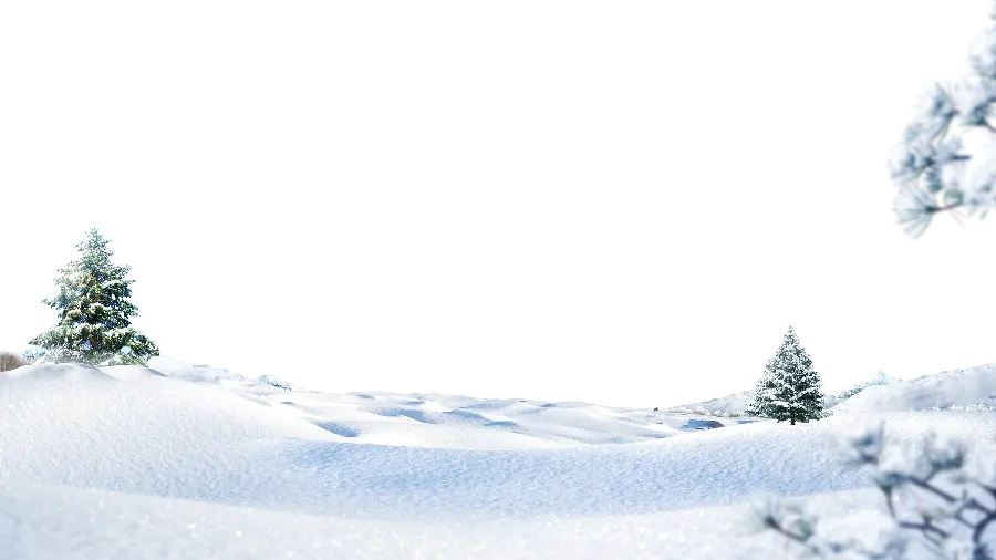 Winter snowy landscape PNG telephoto photo