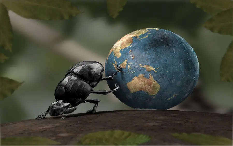 Interesting and spectacular image of a rolling dung ball rolling a ball like a sphere