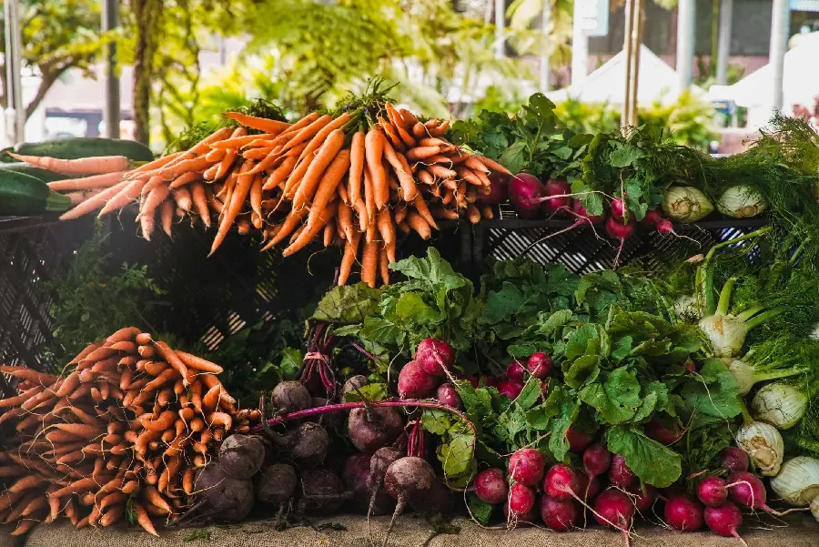 Download photo of a large edible vegetable and soup shop