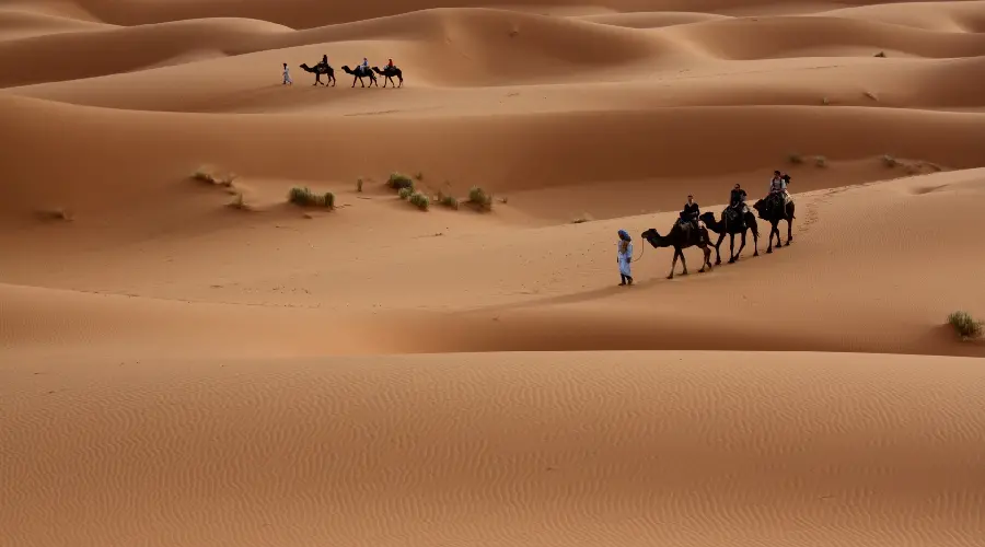 Scenic background photo of the Sahara Desert suitable for desktop