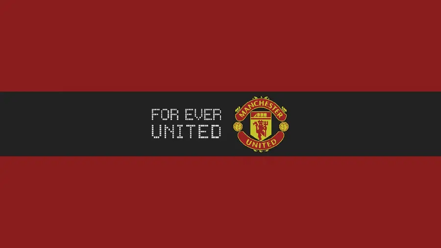 The most beautiful Manchester United logo photo in high quality 
