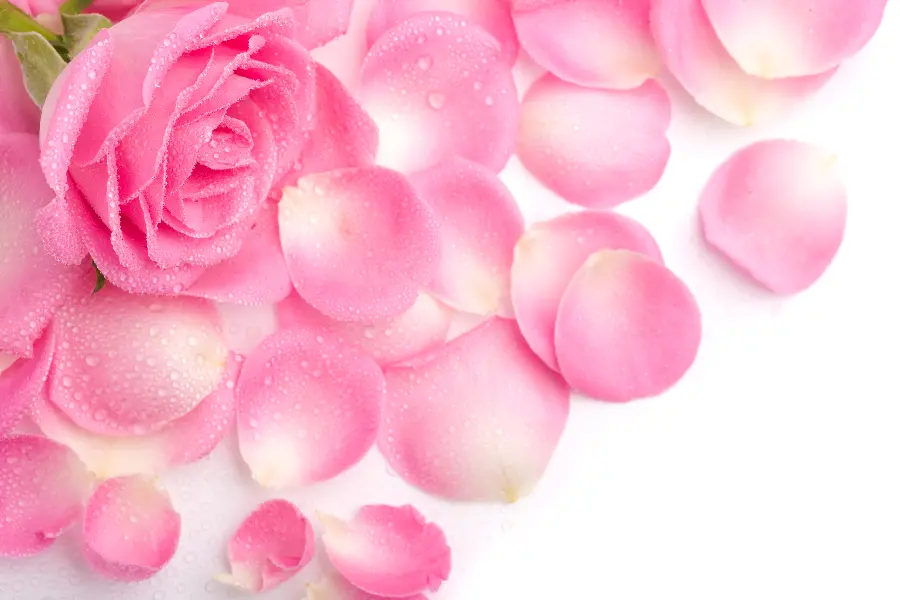 Beautiful and beautiful background photo for Valentine's Day with a direct and free link