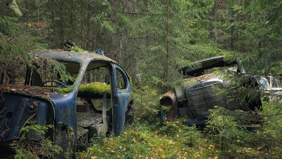 A special background image of old cars abandoned in nature in a new design