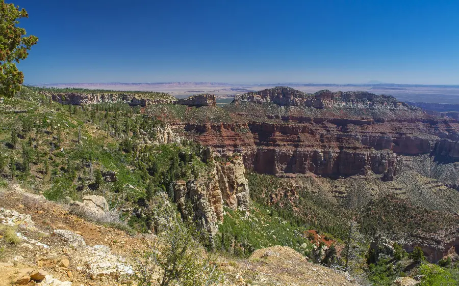 Profile photo of the nature of the Grand Canyon National Park for free 