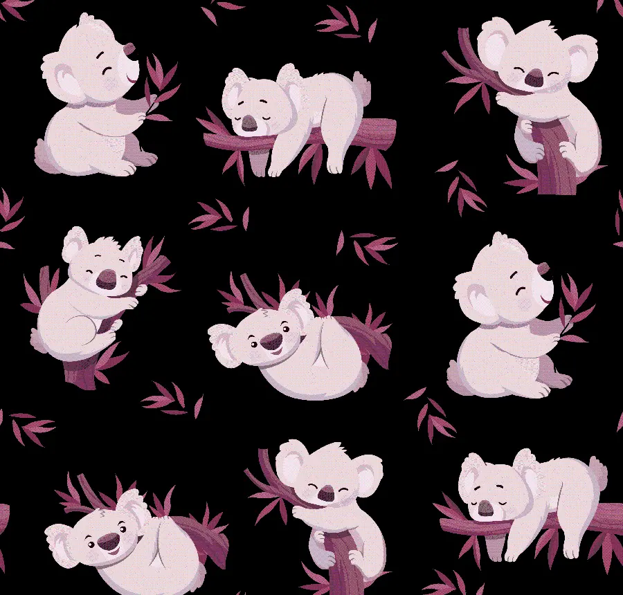 PNG photo of various types of koala bears, cut out and without background