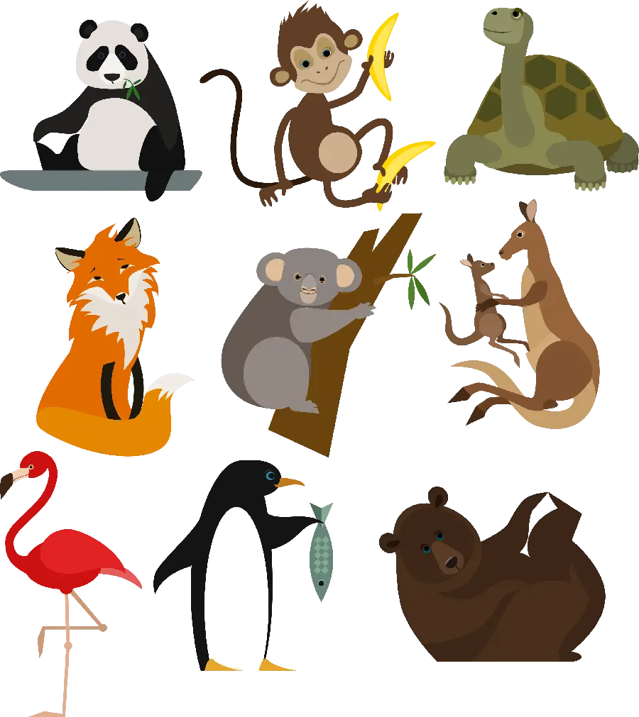 Photo of a koala on a eucalyptus tree branch in PNG format in different shapes