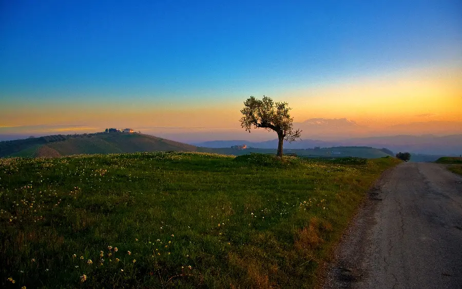 Free download of high-quality and stunning photos of nature 