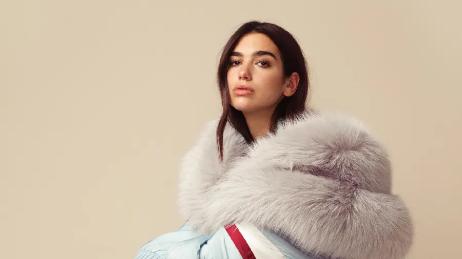 Attractive photo of Dua Lipa, a female pop singer