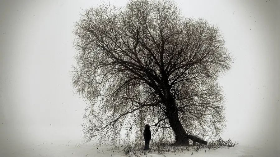 Interesting and sad photo in black and white theme of a girl next to a leafless tree