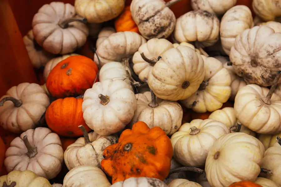 Photos of various fruits and vegetables and the agricultural market for fruits and vegetables
