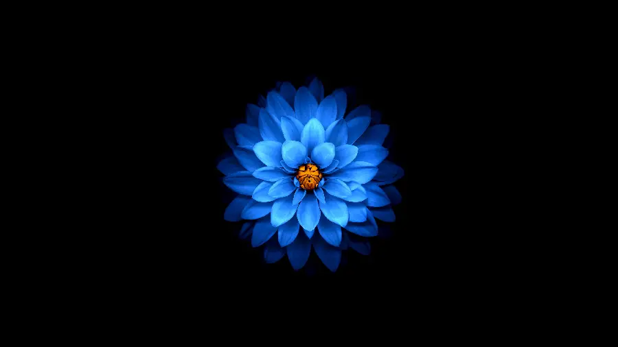 Download new 5K wallpaper with a black background for Windows 11 and 12 