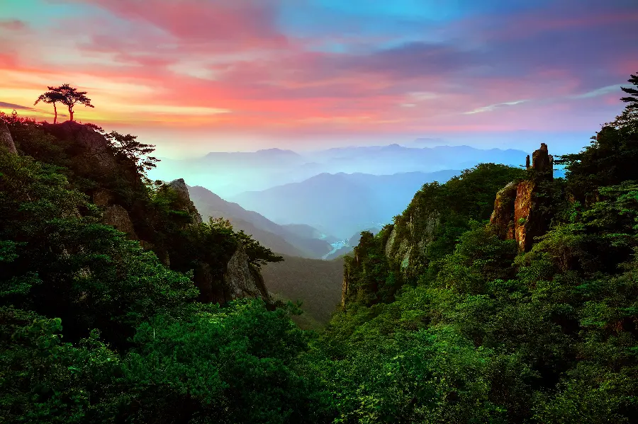 Completely free and excellent background photo of beautiful and wonderful nature
