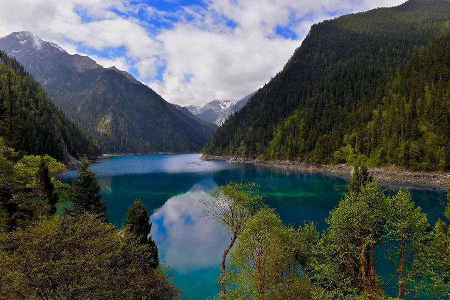 Download a very beautiful free nature image for your profile