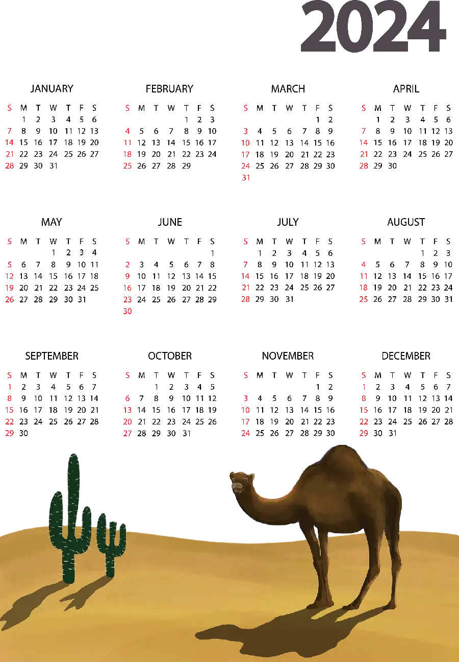 Calendar background photo 2024 in desert and camel background