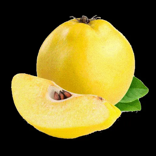 Free download of fruit image in png cut out and without background