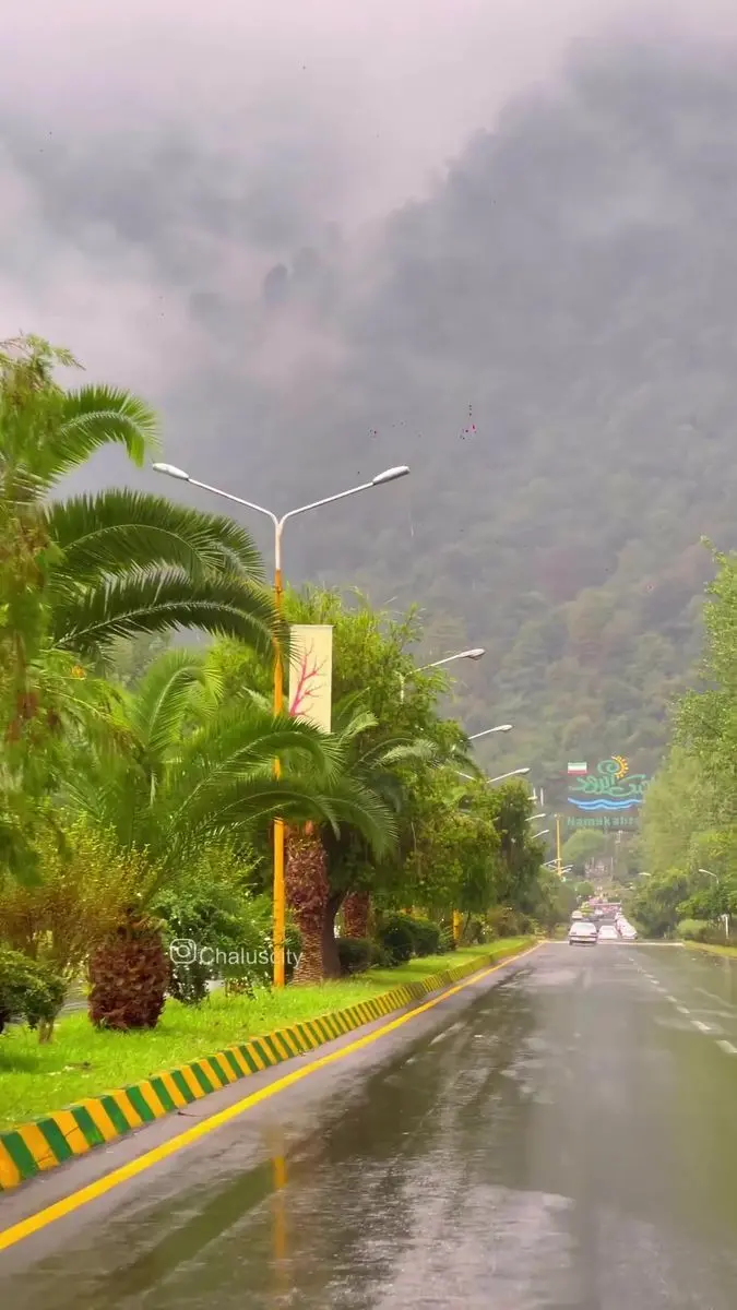 The feeling of nature in the north of the country in rainy weather 