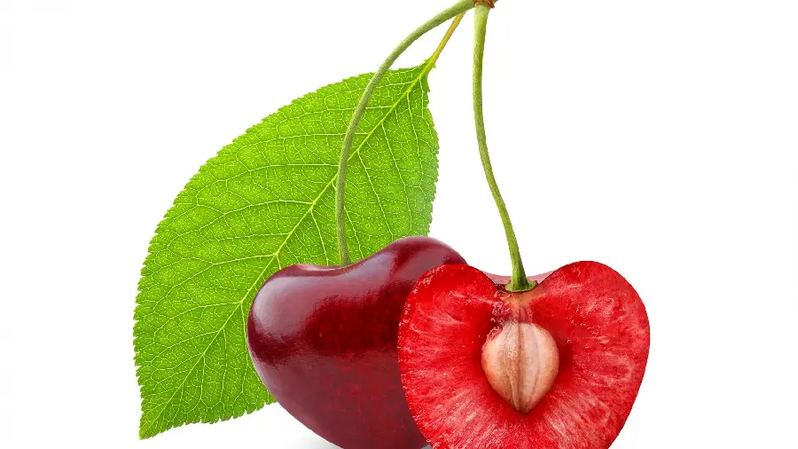 Background photo with delicious cherry design on white background and suitable for Photoshop