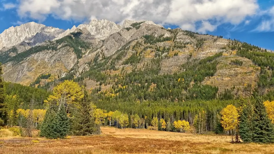 Mountainous nature photo with dry weather for profile