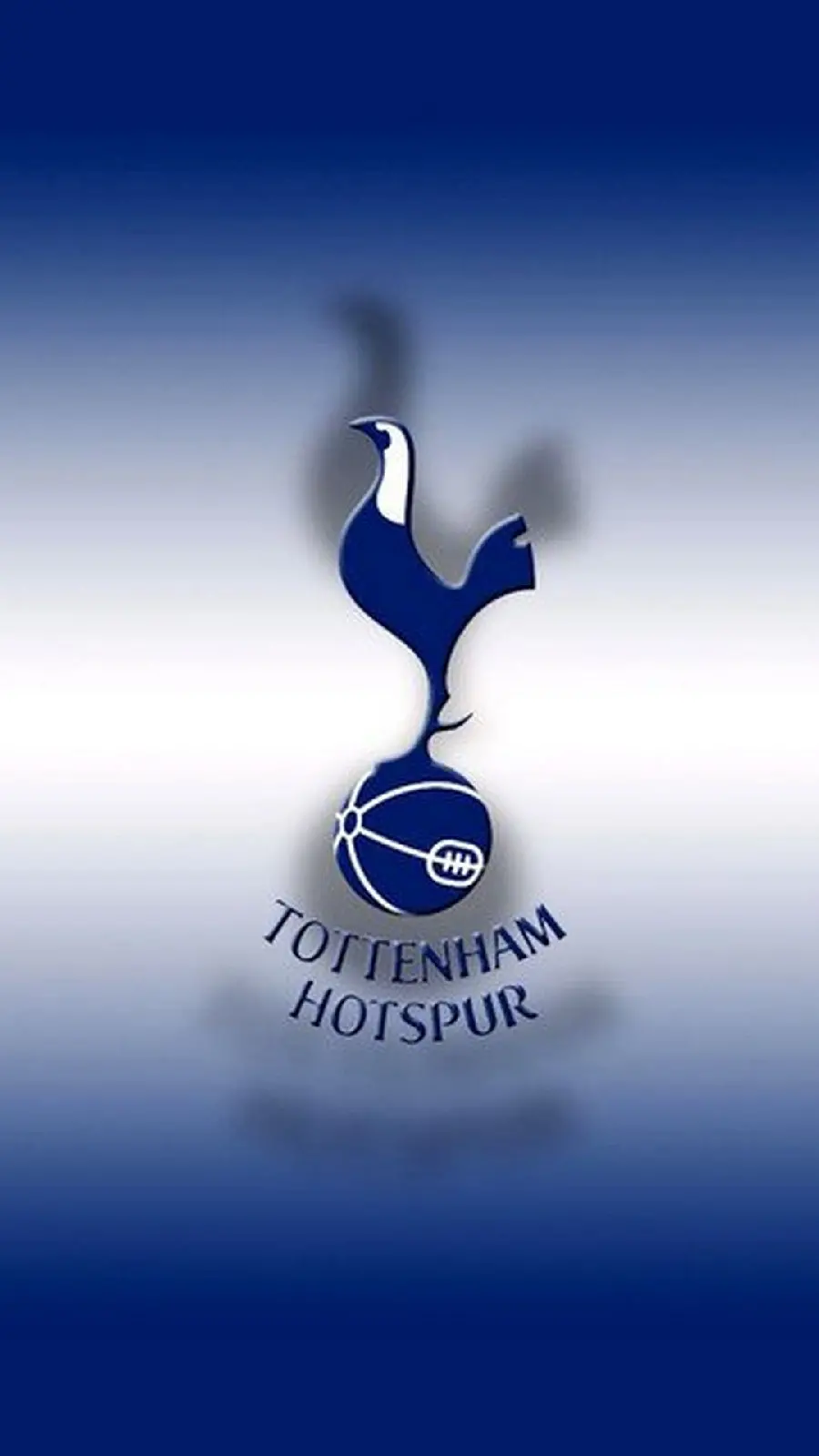 Tottenham wallpaper, one of the leading English football teams