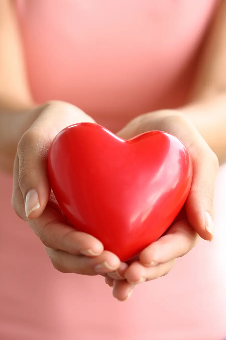 Download Red Valentine's Day Stock Image in Woman's Hands 