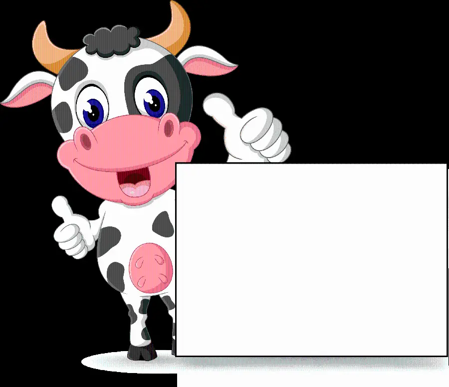 A friendly black and white spotted cow image in PNG format and cropped 