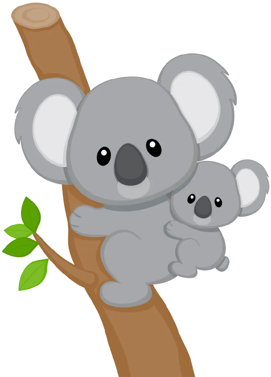 Koala PNG photo Australian native animal 