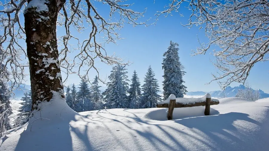 Profile photo of a snowy landscape for winter lovers