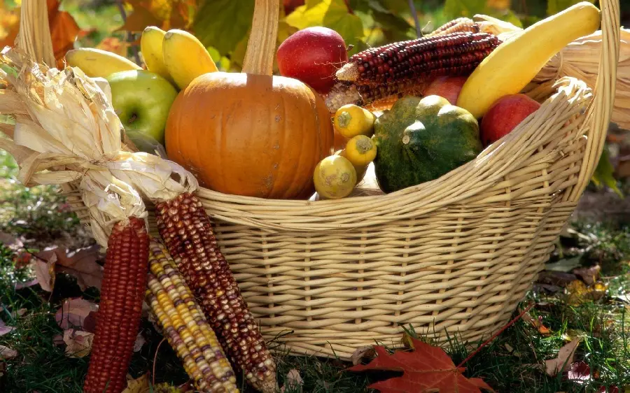 Delicious and pleasant background image of colorful fruits suitable for Windows 