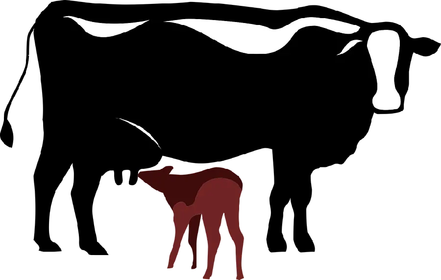 PNG image of a mother and child cow suitable for use as a logo