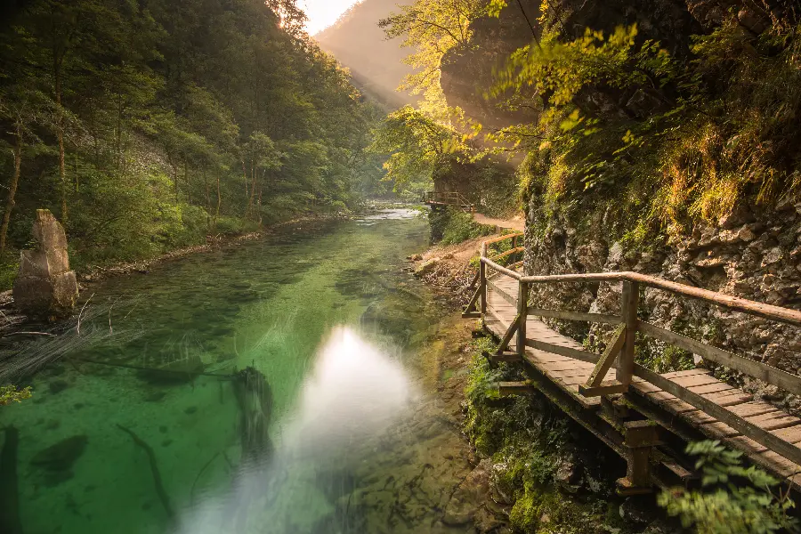 Download amazing and eye-catching photo of lush and pristine natural scenery