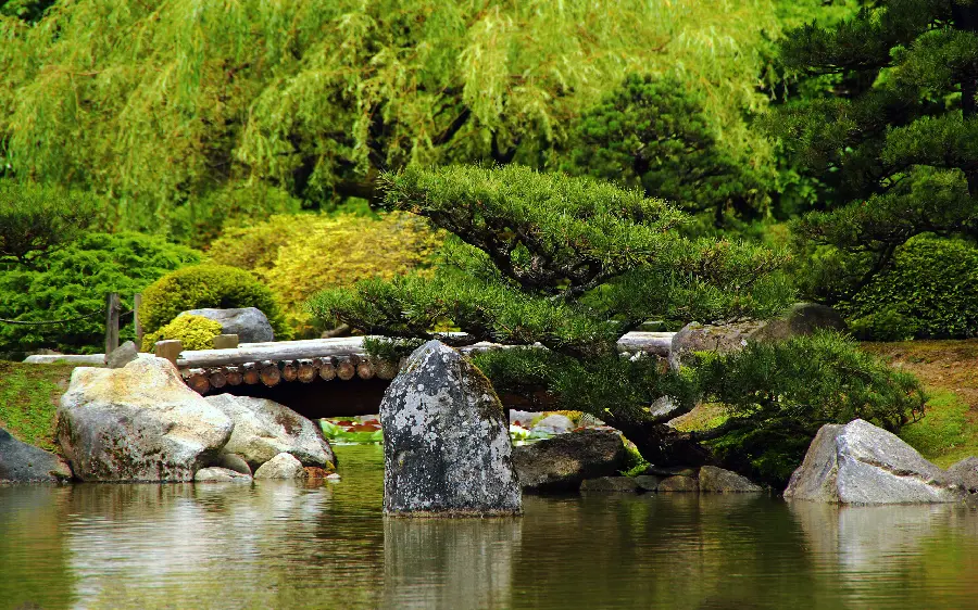 Download pure and Special from fresh and lush nature