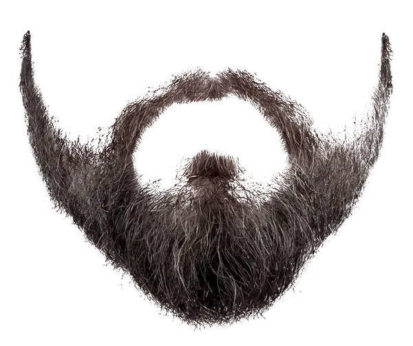 PNG image of a man's beard and mustache without a background